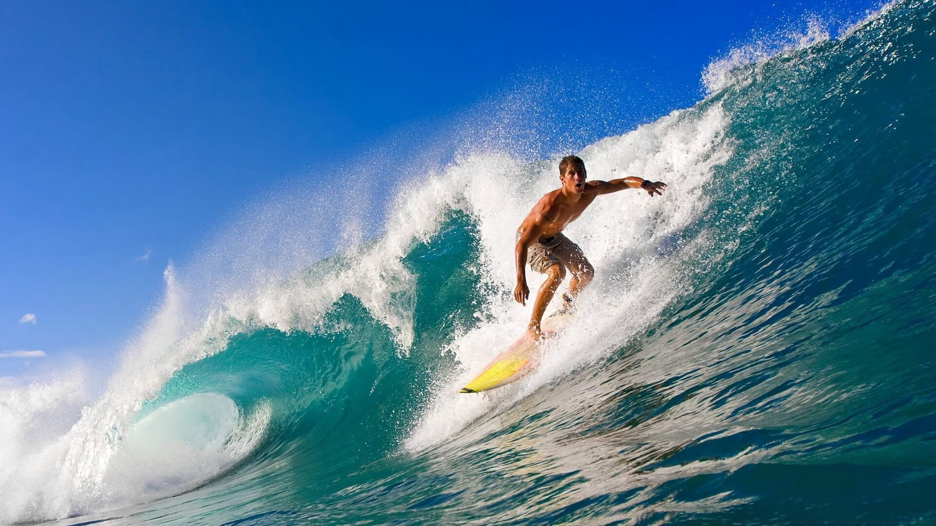 上海滩的紫金风暴，当西决生死战遇上东方巅峰对决