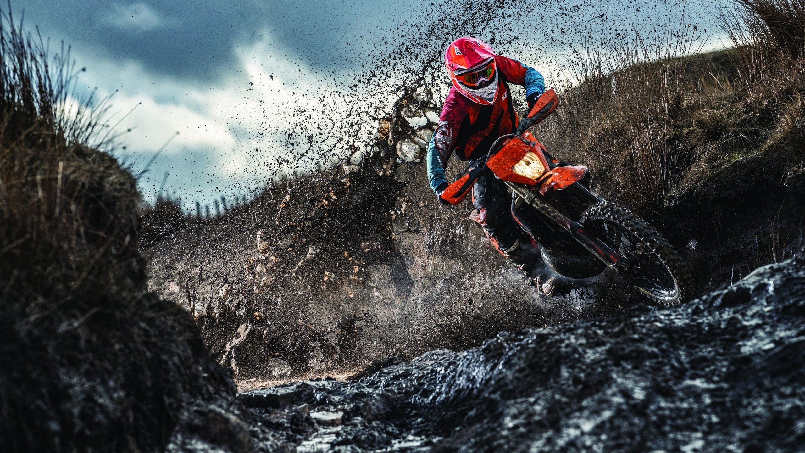 开拓者轻取广厦，字母哥末节接管比赛展现超巨本色