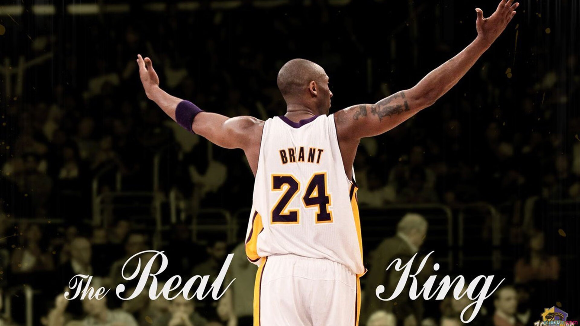 莫兰特爆发启示录，从深圳队淘汰赛到76人，竞技体育的唯一性法则